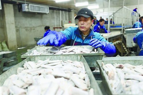 連云港規(guī)上工業(yè)企業(yè)穩(wěn)產(chǎn)增 食品經(jīng)營(yíng)助力經(jīng)濟(jì)社會(huì)發(fā)展首季開(kāi)門紅