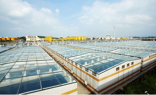 中國食品制造大王 調(diào)味品界的茅臺(tái)，億萬富豪工廠的“不打醬油”經(jīng)營(yíng)哲學(xué)